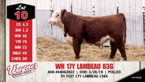 Lot #10 - WH 17Y LAMBEAU 83G