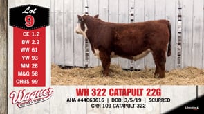 Lot #9 - WH 322 CATAPULT 22G