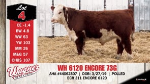Lot #4 - WH 6120 ENCORE 73G