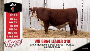 Lot #1 - WH 6964 LEADER 31G