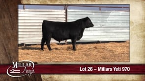Lot #26 - MILLARS YETI 970