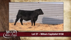 Lot #37 - MILLARS CAPITALIST 9158