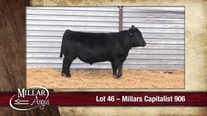 Lot #46 - MILLARS CAPITALIST 906