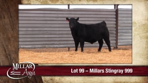 Lot #99 - MILLARS STINGRAY 999