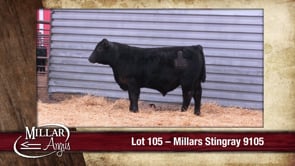Lot #105 - MILLARS STINGRAY 9105