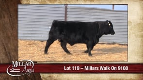 Lot #119 - MILLARS WALK ON 9108