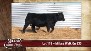 Lot #118 - MILLARS WALK ON 930