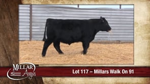 Lot #117 - MILLARS WALK ON 91