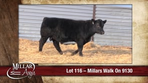 Lot #116 - MILLARS WALK ON 9130