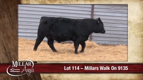 Lot #114 - MILLARS WALK ON 9135