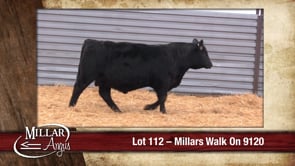 Lot #112 - MILLARS WALK ON 9120