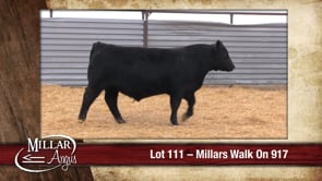 Lot #111 - MILLARS WALK ON 917