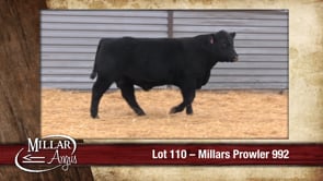 Lot #110 - MILLARS PROWLER 992