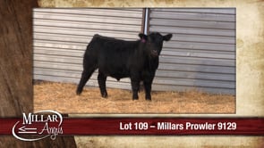 Lot #109 - MILLARS PROWLER 9129