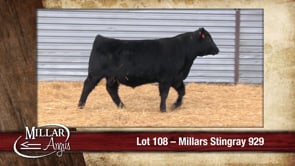 Lot #108 - MILLARS STINGRAY 929