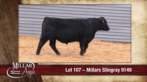 Lot #107 - MILLARS STINGRAY 9149