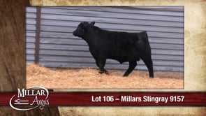 Lot #106 - MILLARS STINGRAY 9157