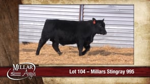 Lot #104 - MILLARS STINGRAY 995