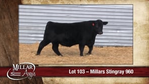Lot #103 - MILLARS STINGRAY 960
