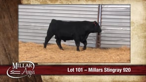 Lot #101 - MILLARS STINGRAY 920