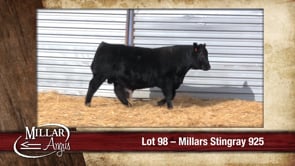 Lot #98 - MILLARS STINGRAY 925