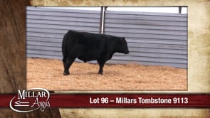 Lot #96 - MILLARS TOMBSTONE 9113
