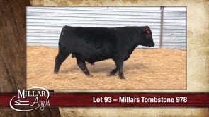 Lot #93 - MILLARS TOMBSTONE 978