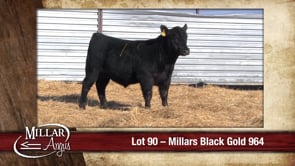 Lot #90 - MILLARS BLACK GOLD 964
