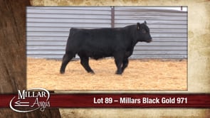 Lot #89 - MILLARS BLACK GOLD 971