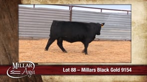 Lot #88 - MILLARS BLACK GOLD 9154