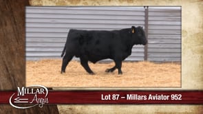 Lot #87 - MILLARS AVIATOR 952