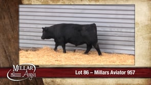 Lot #86 - MILLARS AVIATOR 957