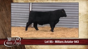 Lot #85 - MILLARS AVIATOR 943