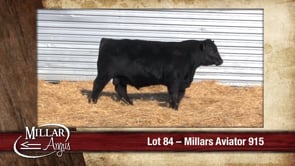 Lot #84 - MILLARS AVIATOR 915
