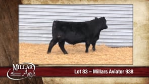 Lot #83 - MILLARS AVIATOR 938