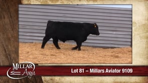 Lot #81 - MILLARS AVIATOR 9109