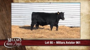 Lot #80 - MILLARS AVIATOR 961