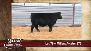 Lot #79 - MILLARS AVIATOR 973