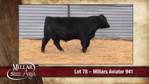 Lot #78 - MILLARS AVIATOR 941