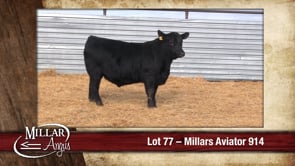 Lot #77 - MILLARS AVIATOR 914