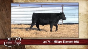 Lot #74 - MILLARS ELEMENT 958