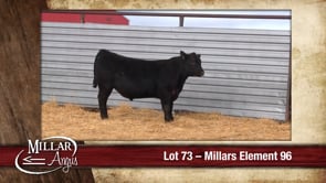 Lot #73 - MILLARS ELEMENT 96