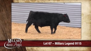 Lot #67 - MILLARS LEGEND 9115