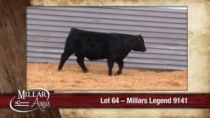 Lot #64 - MILLARS LEGEND 9141