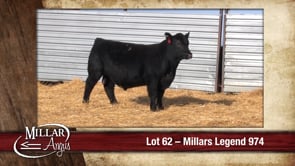 Lot #62 - MILLARS LEGEND 974