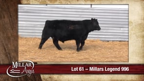 Lot #61 - MILLARS LEGEND 996