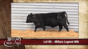 Lot #60 - MILLARS LEGEND 908
