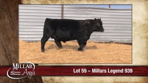 Lot #59 - MILLARS LEGEND 939