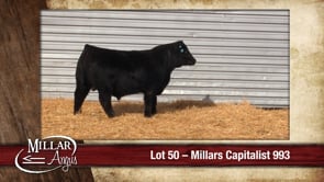 Lot #50 - MILLARS CAPITALIST 993