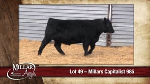 Lot #49 - MILLARS CAPITALIST 985
